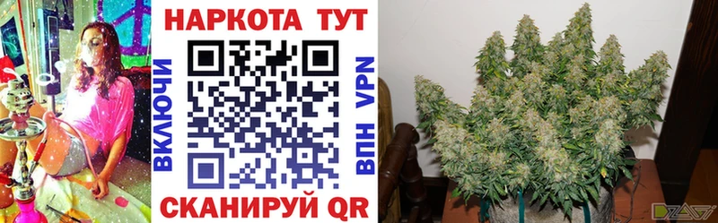 Наркошоп купить Амфетамин  Меф мяу мяу  ГАШ  Каннабис  Альфа ПВП  Гороховец