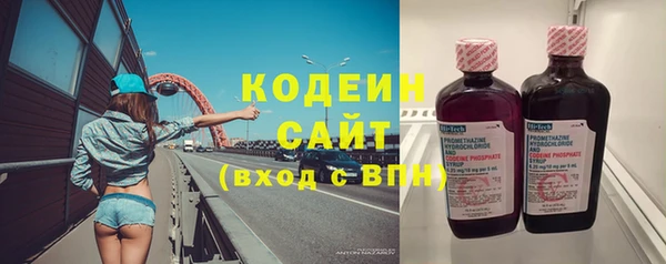 прущие грибы Балахна