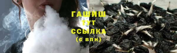 прущие грибы Балахна
