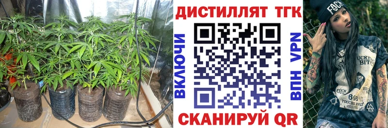Купить где Гороховец ТГК вейп с тгк