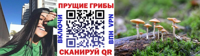 Псилоцибиновые грибы прущие грибы  Купить  Гороховец 